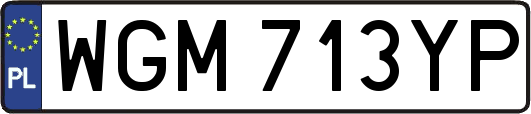 WGM713YP
