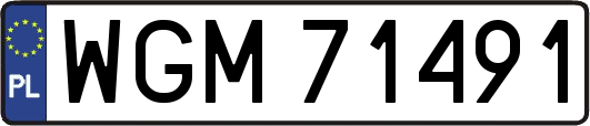 WGM71491
