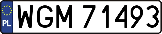 WGM71493