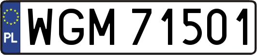 WGM71501