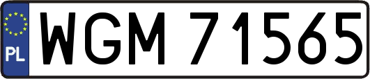 WGM71565