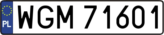 WGM71601
