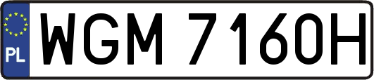 WGM7160H
