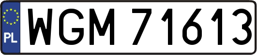 WGM71613