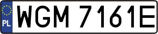 WGM7161E