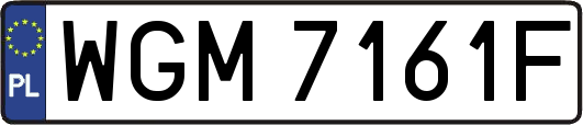 WGM7161F
