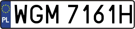 WGM7161H