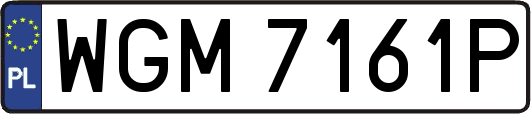 WGM7161P