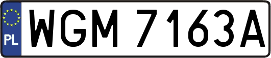 WGM7163A