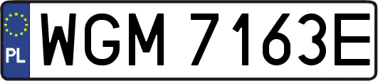 WGM7163E