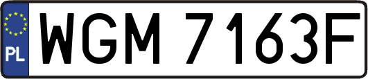 WGM7163F