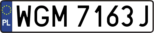 WGM7163J