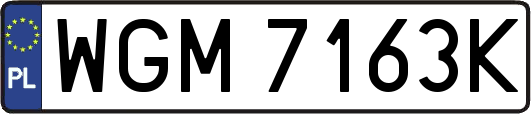 WGM7163K
