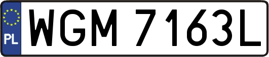 WGM7163L