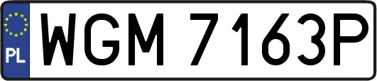 WGM7163P