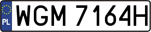 WGM7164H