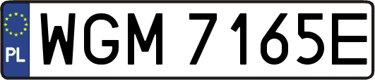 WGM7165E