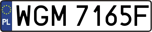 WGM7165F