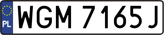 WGM7165J