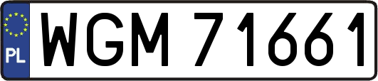 WGM71661
