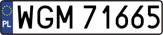 WGM71665