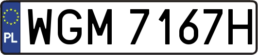 WGM7167H