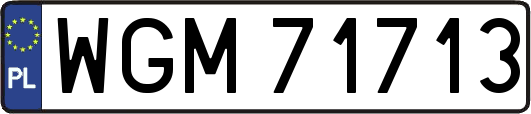 WGM71713