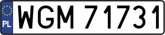 WGM71731