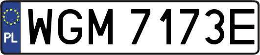 WGM7173E