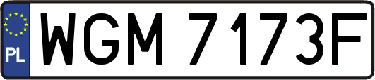 WGM7173F