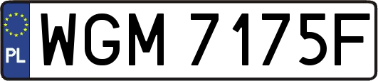 WGM7175F