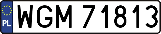 WGM71813