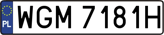 WGM7181H
