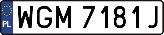 WGM7181J