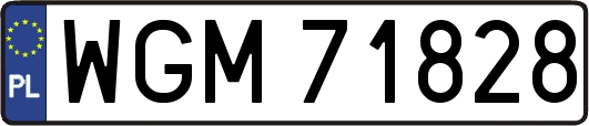 WGM71828