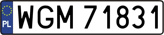 WGM71831