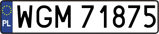 WGM71875