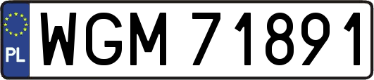 WGM71891