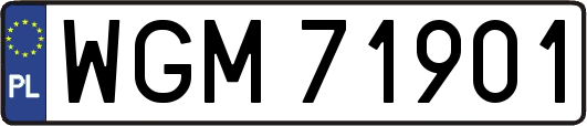 WGM71901