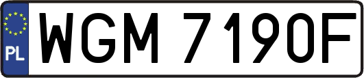 WGM7190F