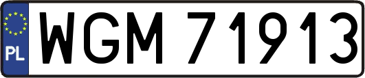 WGM71913