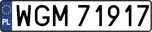 WGM71917