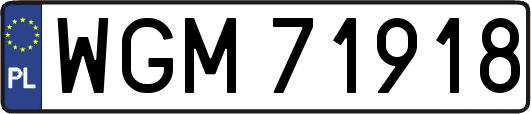 WGM71918