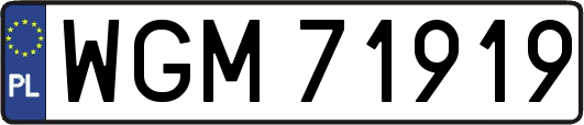 WGM71919