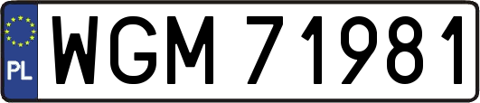 WGM71981