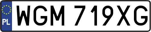 WGM719XG