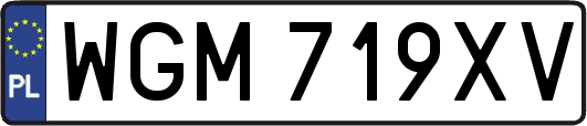 WGM719XV