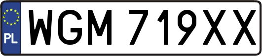 WGM719XX