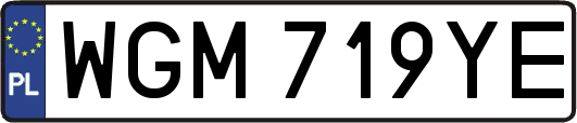 WGM719YE