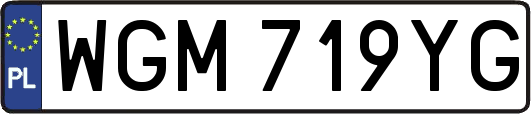WGM719YG